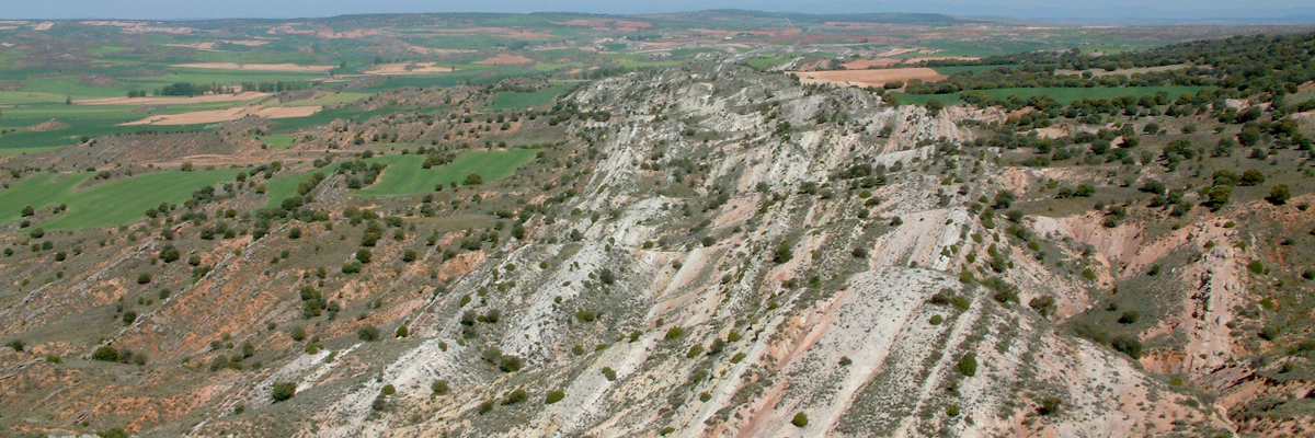 Panorámica de la cuenca de Almazán (Soria) (Imagen: Luis Valero)