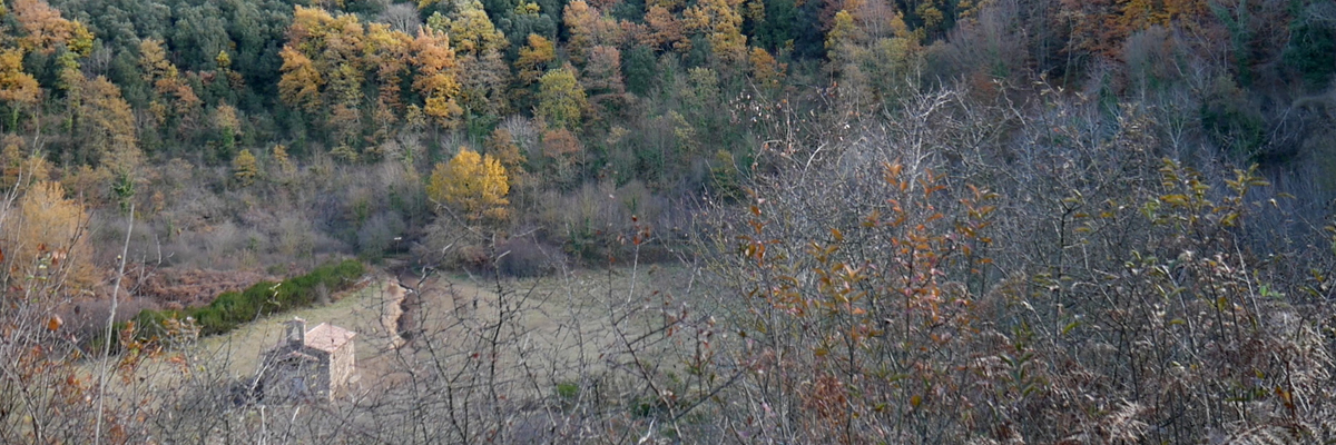 Interior del cráter del Santa Margarida, uno de los dos volcanes maar de la Garrotxa