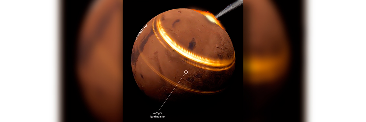 Image provided by ETH Zurich (Doyeon Kim, Martin van Driel & Christian Boehm)