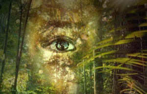 Cineforum: estreno del documental 'Echoes of the rainforest'